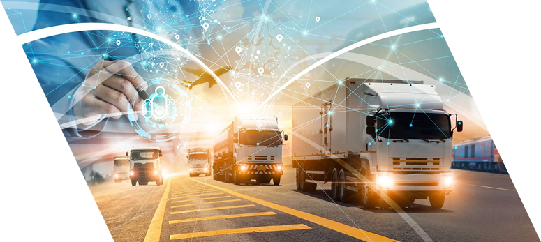 Sertifika & Belgeler